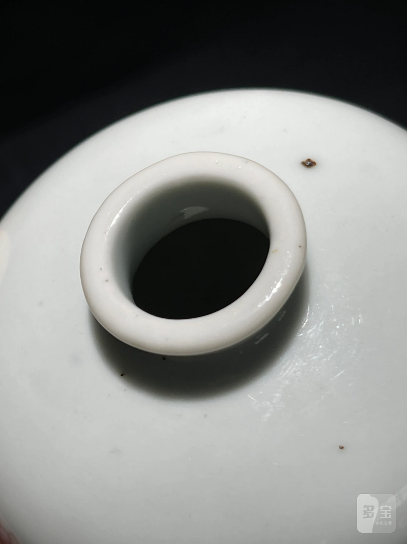 清光绪 仿康熙釉里红加五彩花卉纹苹果尊 - 图10
